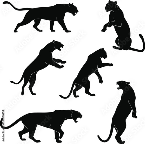 Black Panther Silhouette Set – Wild Cat Animal Poses Collection