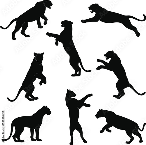 Black Panther Silhouette Set – Wild Cat Animal Poses Collection