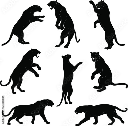 Black Panther Silhouette Set – Wild Cat Animal Poses Collection