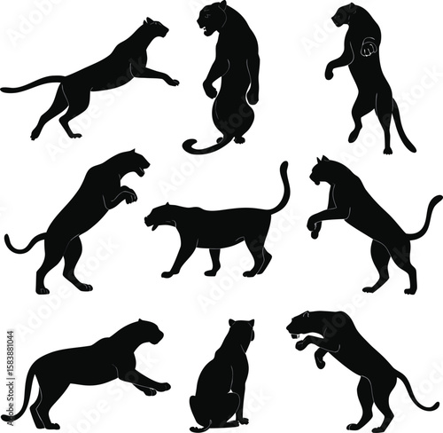 Black Panther Silhouette Set – Wild Cat Animal Poses Collection