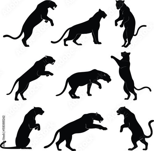 Black Panther Silhouette Set – Wild Cat Animal Poses Collection