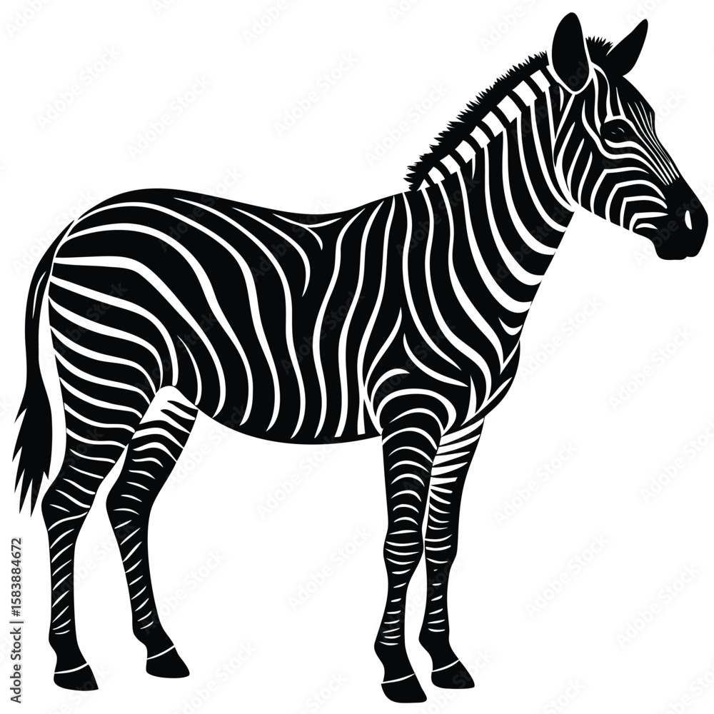 Obraz premium a zebra in side profile with detailed body shape and upright mane, minimalist vector illustration isolated on white background