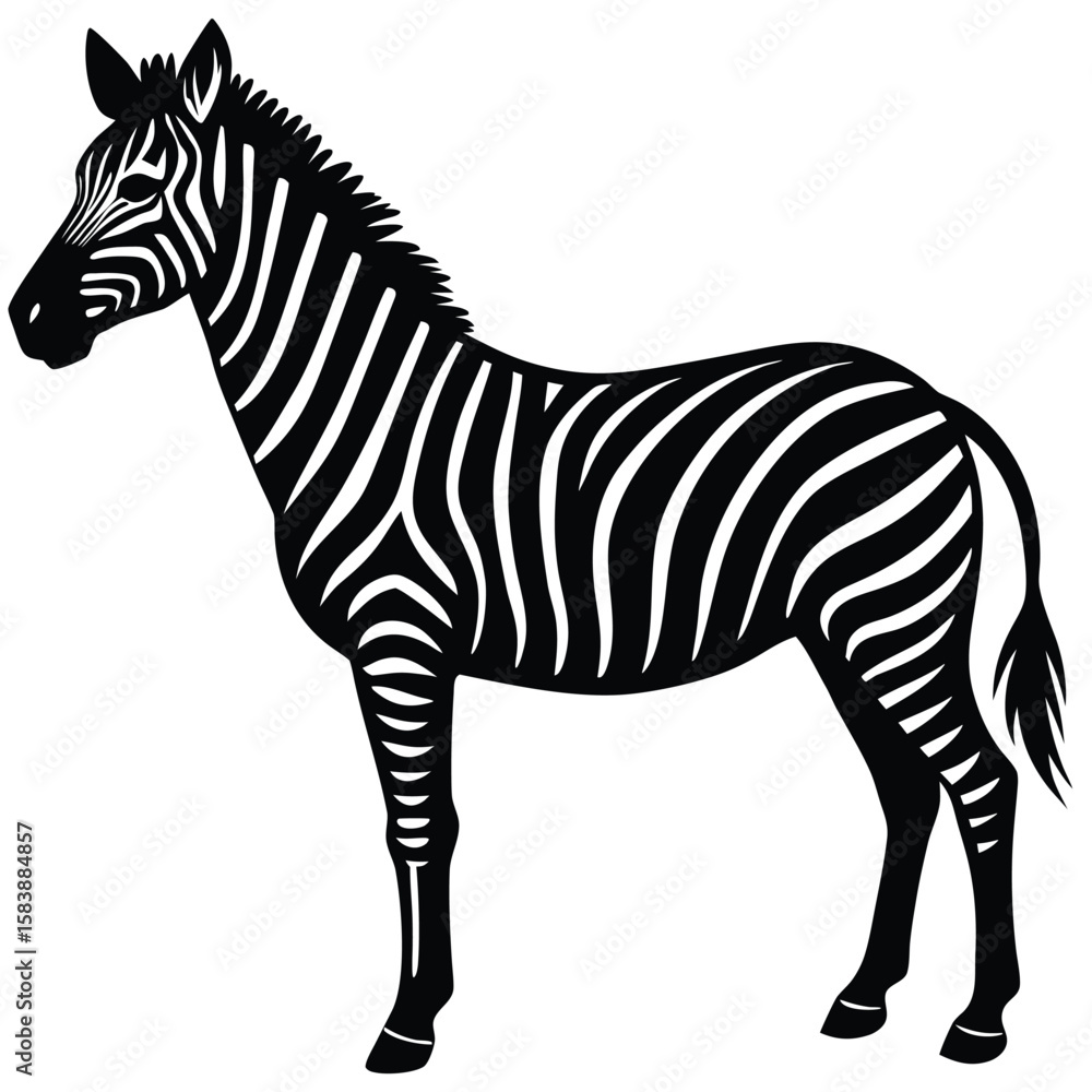 Fototapeta premium a zebra in side profile with detailed body shape and upright mane, minimalist vector illustration isolated on white background