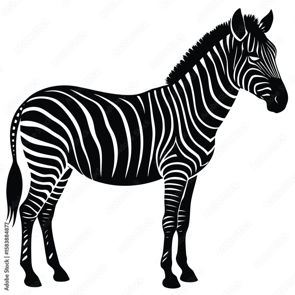 Obraz premium a zebra in side profile with detailed body shape and upright mane, minimalist vector illustration isolated on white background