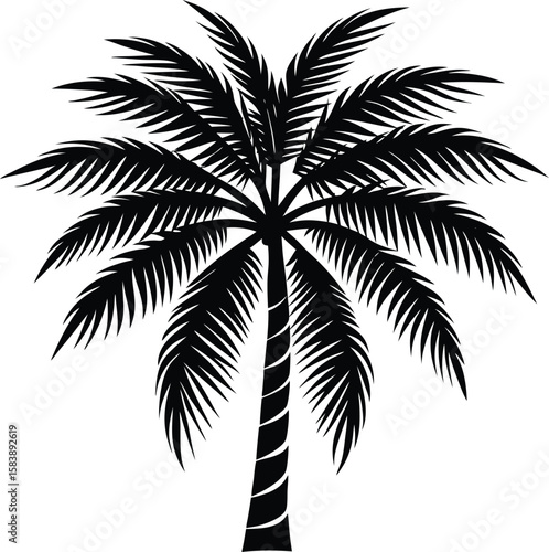 Coconut tree t shirt design silhouette and vector Island tree sketch for cool tropical outfits