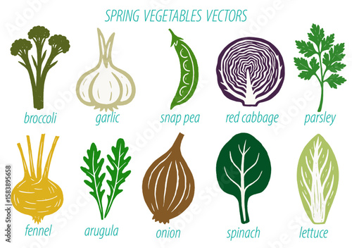 Spring Vegetable Vector Set – Broccoli, Garlic, Snap Pea, Red Cabbage and More
