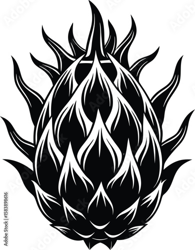 Dragonfruit t shirt design silhouette and vector Unique dragonfruit clipart for trendy products