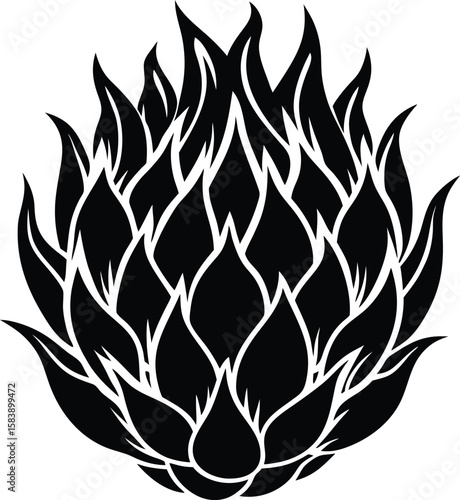 Dragonfruit t shirt design silhouette and vector Tropical dragonfruit outline for trendy shirts