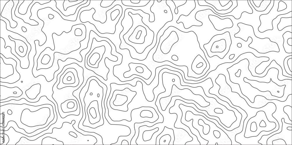 Obraz premium Abstract topographic contours map background and Geographic mountain relief. panorama view gradient black & white wave curve lines banner design. Topographic contour map. 