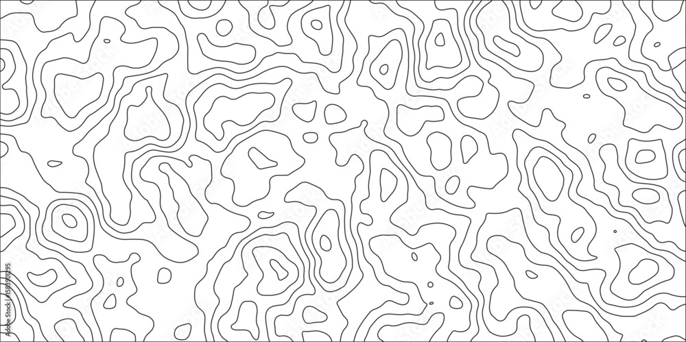 Obraz premium Abstract topographic contours map background and Geographic mountain relief. panorama view gradient black & white wave curve lines banner design. Topographic contour map. 