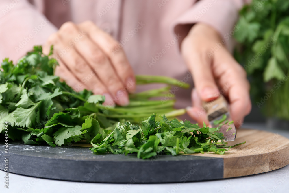 Woman cutting fresh green cilantro at light table, closeup Woman cutting fresh green cilantro at light table, closeup