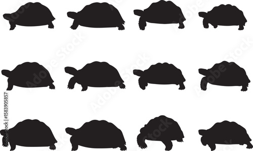 African Spurred Tortoise Solid Vector Silhouette