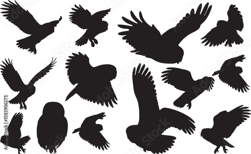 Barred Owl Solid Vector Silhouette