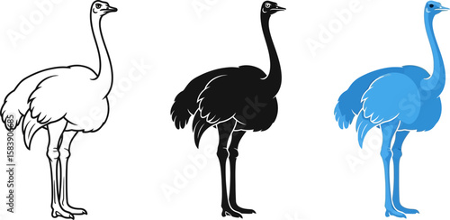 Three stylized illustrations of an ostrich in outline silhouette and blue color