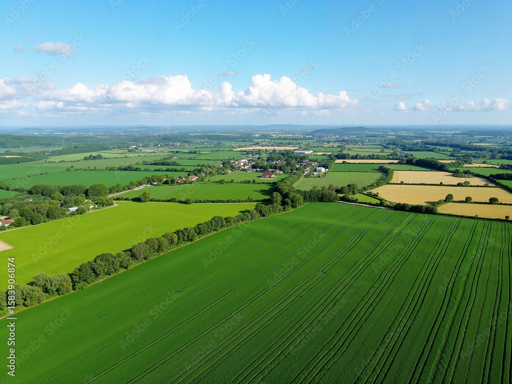 Naklejka premium Aerial view of agriculture fields
