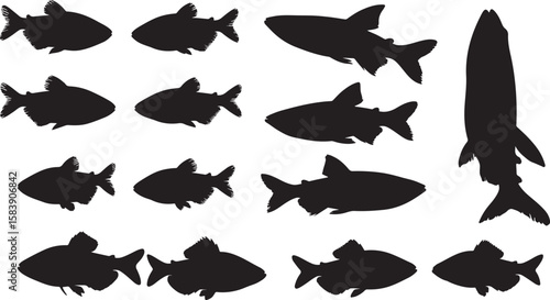 Cardinal Tetra Solid Vector Silhouette