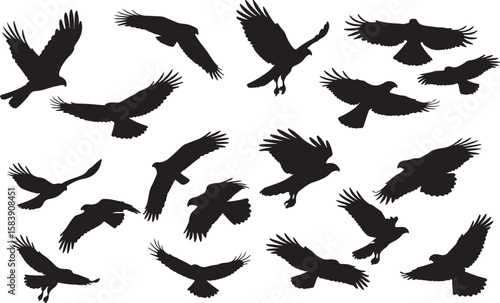 Harris's Hawk Silhouettes Vector Pack
