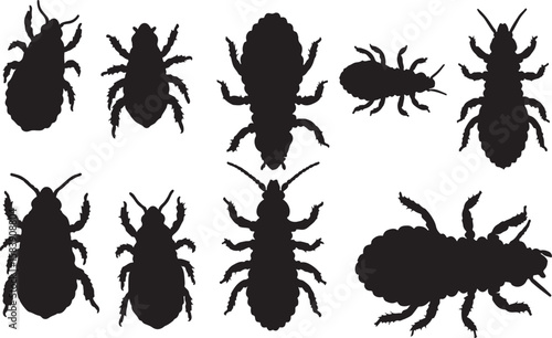 Louse Silhouettes Vector Pack