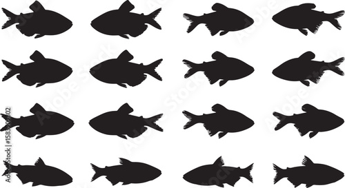 Neon Tetra Silhouettes Vector Pack