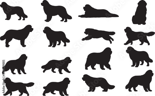 Newfoundland Dog Silhouettes Vector Pack