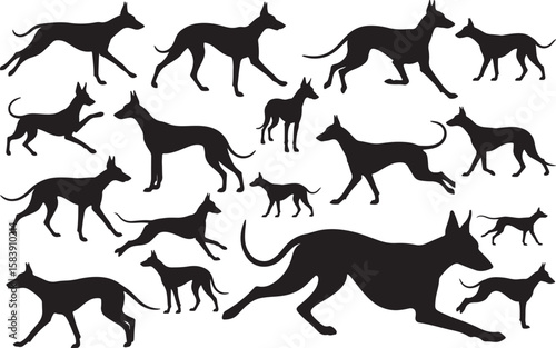 Pharaoh Hound Silhouettes Vector Pack