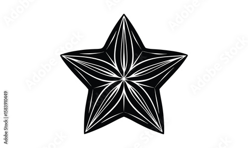 Starfruit silhouette vector and t shirt design Vibrant fruit design for summer collections