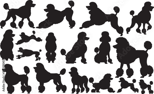 Poodle Silhouettes Vector Pack
