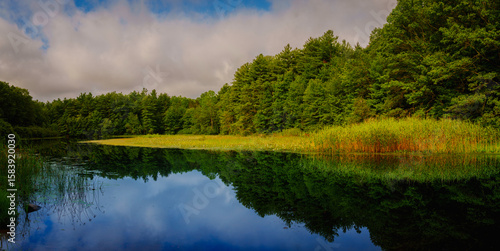 Fototapeta Naklejka Na Ścianę i Meble -  New England summer landscape over Lake Wintergreen in West Rock State Park, Hamden, Connecticut—a tranquil panoramic scene of water reflections, forest, white clouds, and vibrant plants.