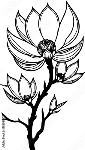 simple black graphic drawing of magnolia flower, logo, tattoo
