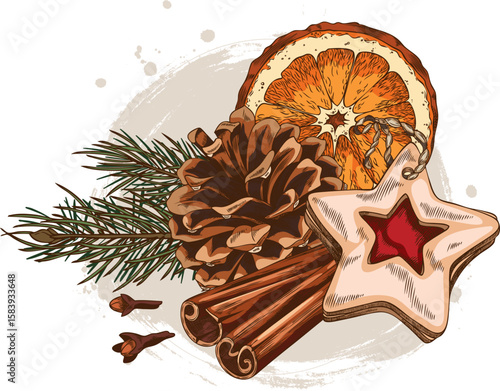 Cinnamon sticks, clove star, orange slice, pine cone and branch with wooden star tag sketch vector composition