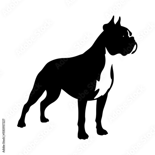 Boxer dog stands in strong pose, a majestic representation of Boxer dog. This image presents detailed monochrome illustration of a proud Boxer dog with its muscular build.