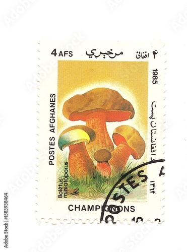 Cuadro en lienzo A vintage postage stamp from Afghanistan isolated on a white background