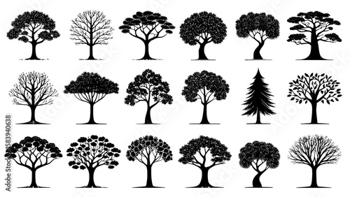A grid of black silhouette tree icons viewed from the side, each representing a different species with unique trunks and canopies. The trees are evenly spaced on a white background, and the style is f