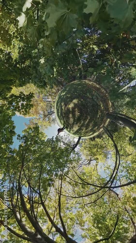 Immerse yourself in a mesmerizing journey through a lush forest, where the boundaries of reality seem to blur. Our video takes you on a captivating adventure, showcasing the harmonious dance between