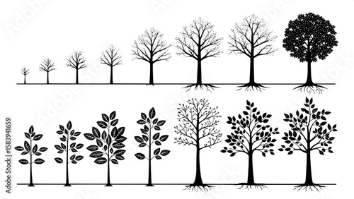 A grid layout showing black silhouette trees at different life stages—from saplings to full-grown trees—drawn with uniform line weight. The design uses simple shapes and consistent spacing on a pure w