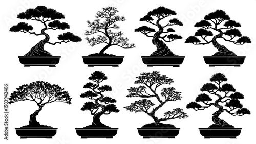A black-and-white grid of silhouette bonsai trees, each one uniquely styled but maintaining simple outlines. The trees sit in planters, with no shading or texture, just clean lines on a stark white ba