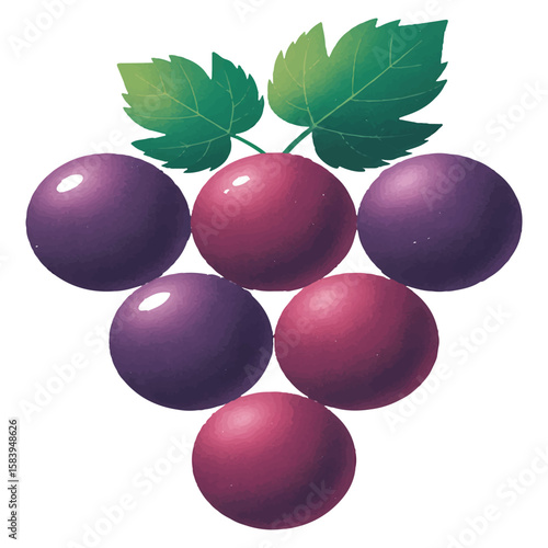 A bunch of ripe grapes with green leaves is isolated on white background, showcasing a colorful and appetizing fruit