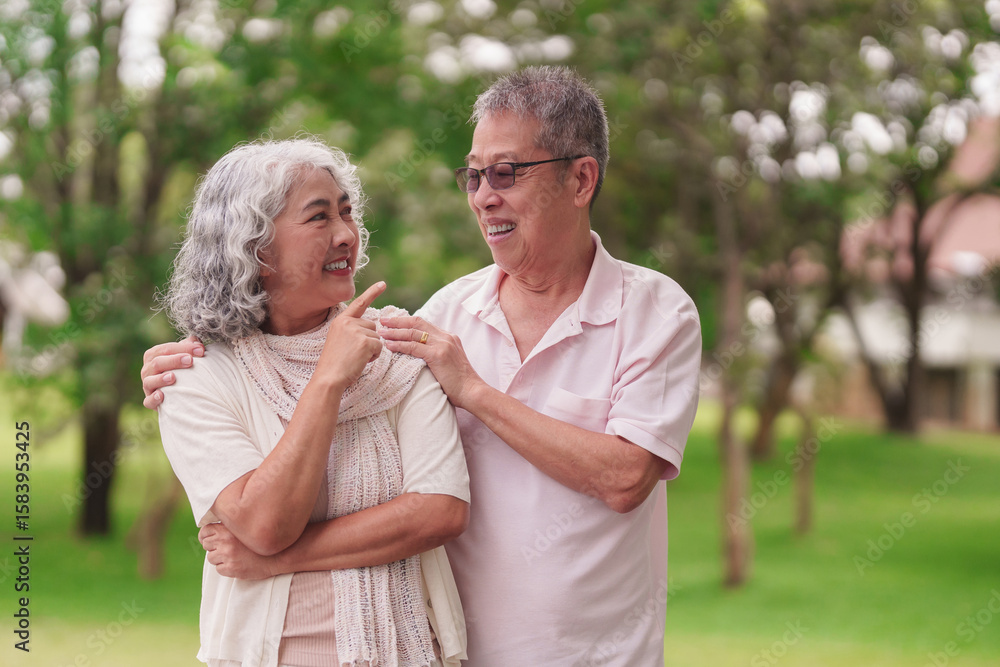 Older Asian couple enjoys outdoor time happy together park after retirement lifestyle leisure bonding Older Asian couple enjoys outdoor time happy together park after retirement lifestyle leisure bonding