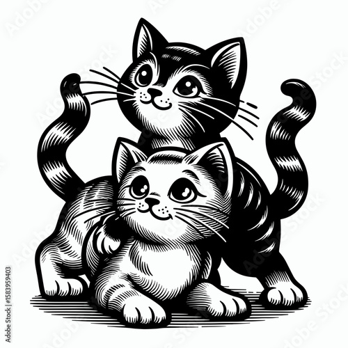 Two playful kittens cuddling