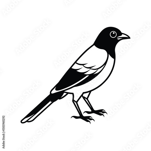 a jay line art silhouette vector illustration on white background