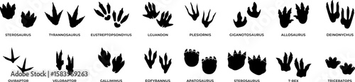 Set of Prehistoric Animal Footprint Vector Illustrations | Fossil Track Silhouettes & Dinosaur Trail Shapes

