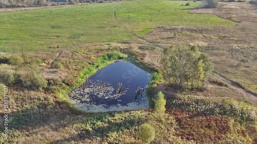 Aerial view from drone on summer forest, field, river and swamp.
