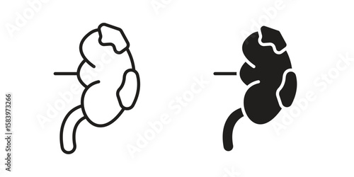 Kidney disease icon set line art and glyph design. Eps10