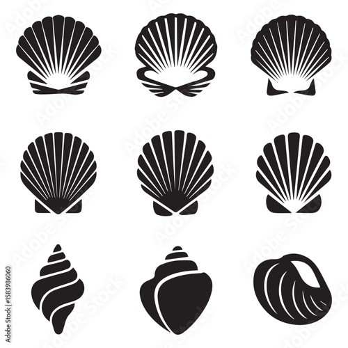 A collection of seashell silhouettes showcases the diverse shapes and patterns found in marine life