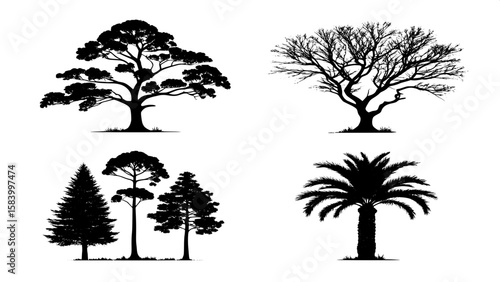 Collection of black silhouette top-down views of trees categorized by type: coniferous, deciduous, palm, and bonsai. Displayed in separate quadrants on a white canvas for comparison. Style is clean, s