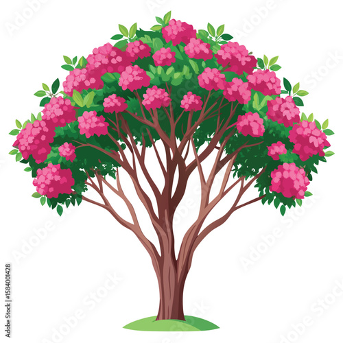 crepe myrtle tree