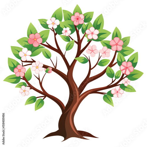dogwood tree