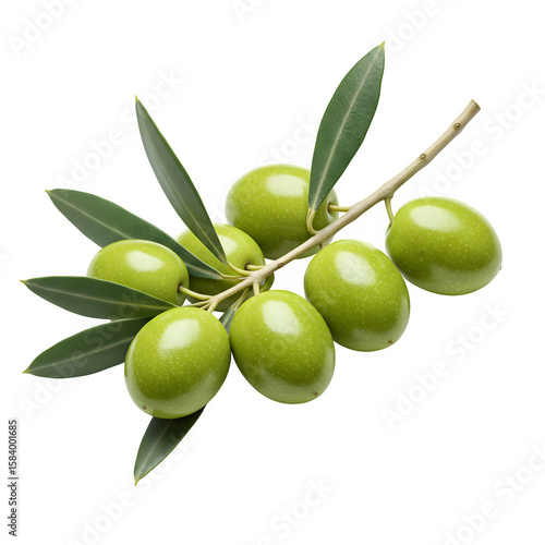 Wallpaper Mural Green olives on branch isolated on white or transparent background. PNG Torontodigital.ca