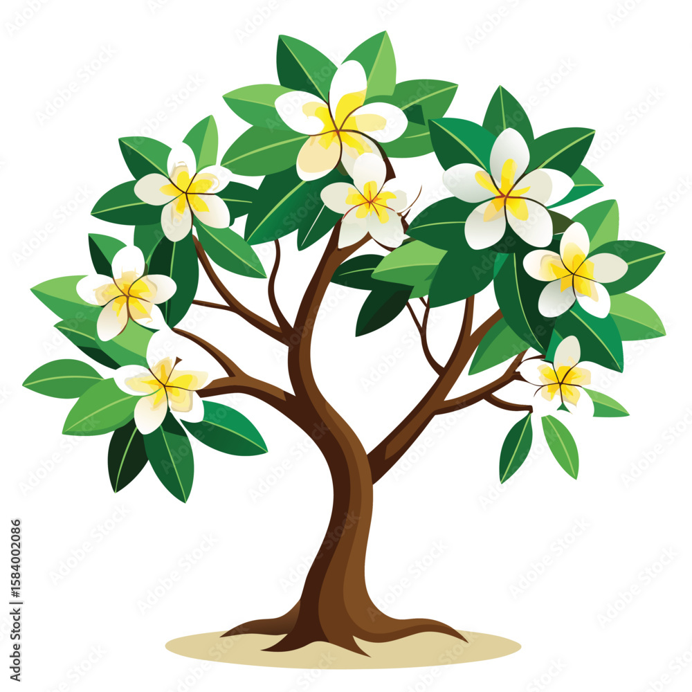 Fototapeta premium frangipani tree