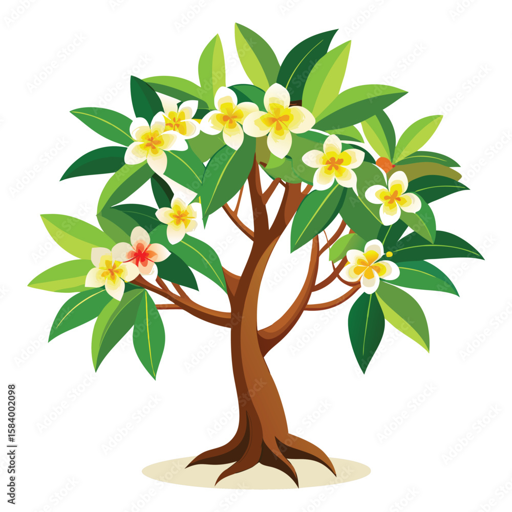 Fototapeta premium frangipani tree